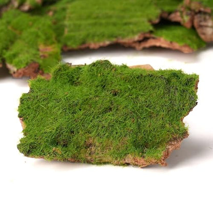 Assorted Artificial Moss Bark