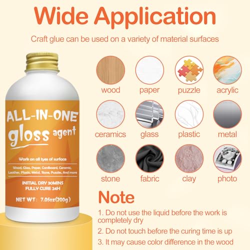 Crafts Sealer Gloss Finish (6.7628 Fl Oz)
