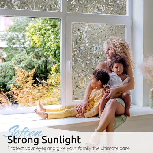Window Privacy Film (9.58 Sq Ft)