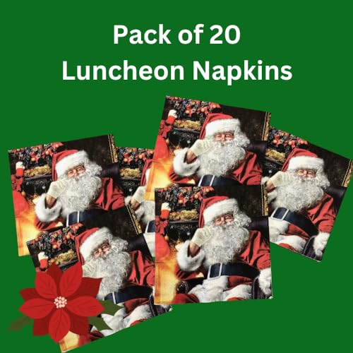 20 ct 13x13 Christmas Paper Decoupage Napkins (20 Count)