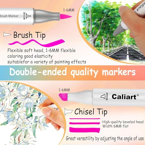 Alcohol Markers 61 Colors Pastel Chisel & Brush Tip Art Markers (61 Count)