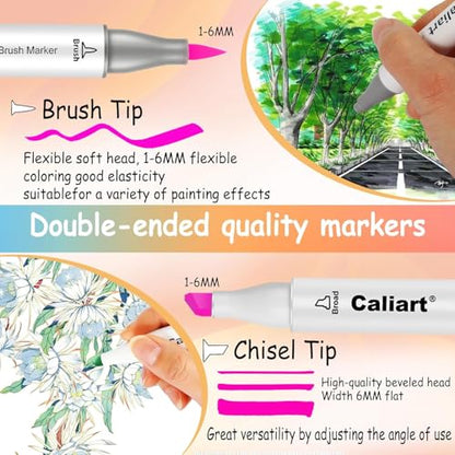 Alcohol Markers 61 Colors Pastel Chisel & Brush Tip Art Markers (61 Count)