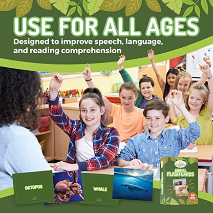 50 Animal Flash Cards