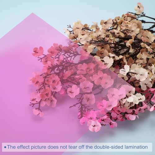 4Pcs A4 Gel Light Lighting Filter Overlay Transparent Color Correction Plastic Vinyl PVC Sheets Photography Television Pink (4 Count)