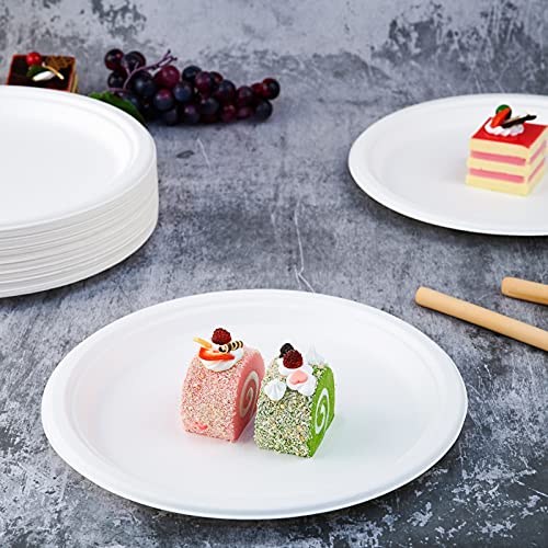 500 Pack Compostable Bagasse Paper Plates 10.25 inch (500 Count)