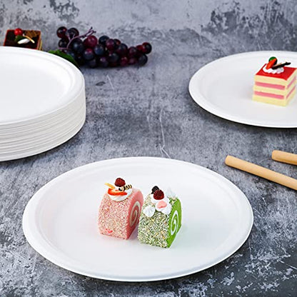 500 Pack Compostable Bagasse Paper Plates 10.25 inch (500 Count)