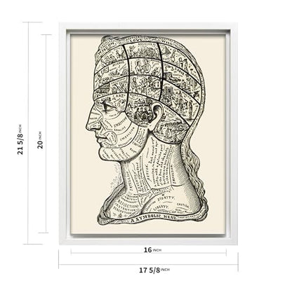 A Symbolic Head Phrenology Print 1899