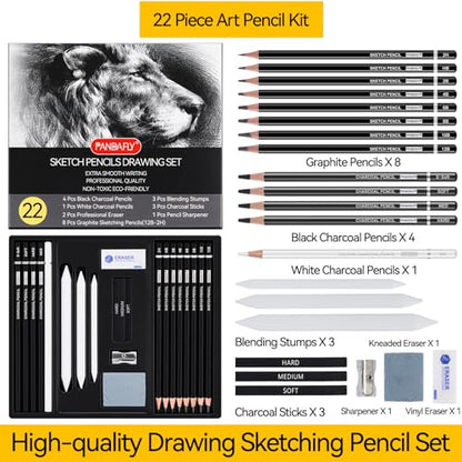 Drawing Sketching Pencil Set (22 Count)