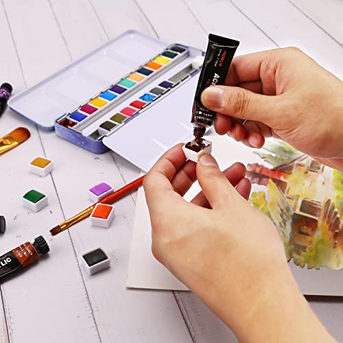 Empty Watercolor Palette