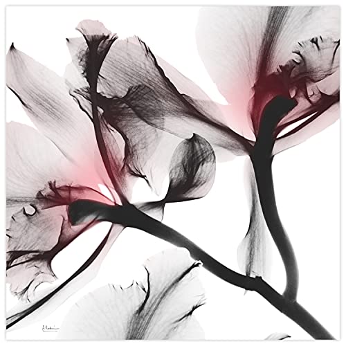 Frameless Free Floating Tempered Glass Panel Graphic Wall Art Ready to Hang