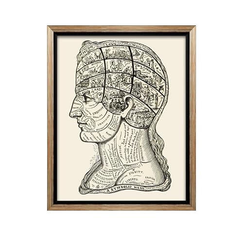 A Symbolic Head Phrenology Print 1899