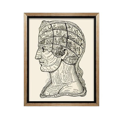 A Symbolic Head Phrenology Print 1899