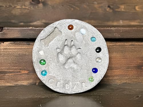 DIY Paw Print Stepping Stone Kit