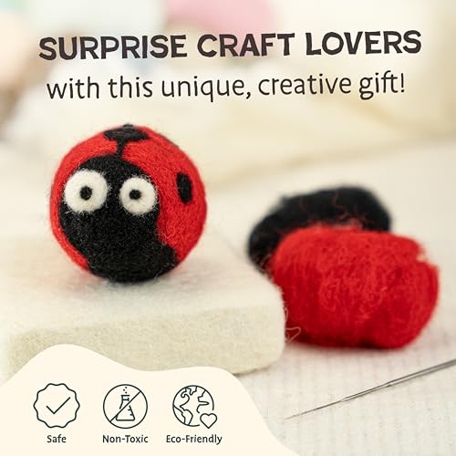 Needle Felting Kit Beginner Set