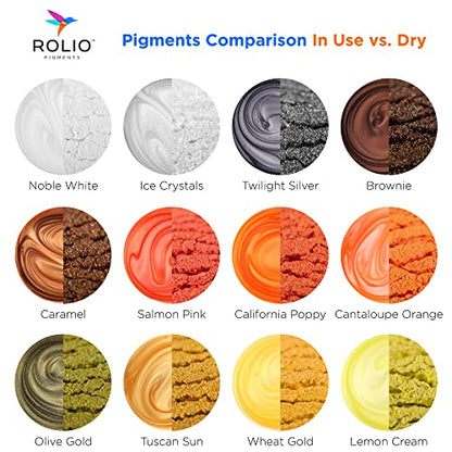 Mica Powder Color Pigment Set (8.4 Ounce)
