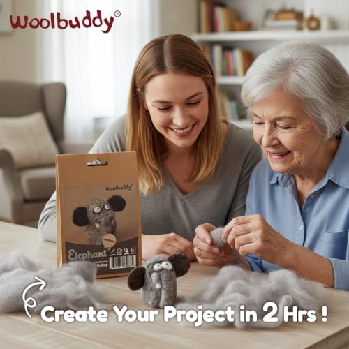 Needle Felting Starter Kit