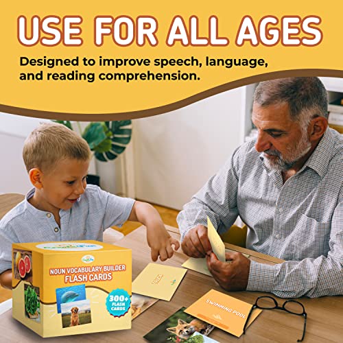 300 Noun Vocabulary Builder Flash Cards for Speech Therapy & ESL