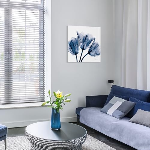 TMP-AK011A-2424 Blue Tulip X-Ray Flower Wall Art on Frameless Free Floating Tempered Glass Panel Ready to Hang, Living Room, Bedroom ＆ Office, 24" x 24" x 0.2"