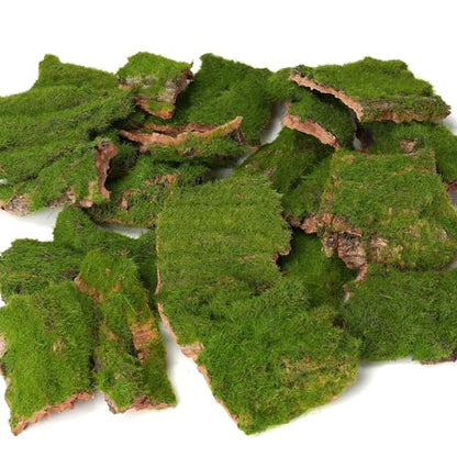 Assorted Artificial Moss Bark