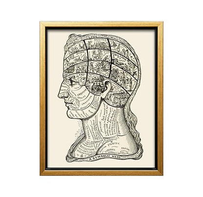 A Symbolic Head Phrenology Print 1899