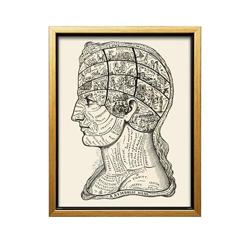 A Symbolic Head Phrenology Print 1899