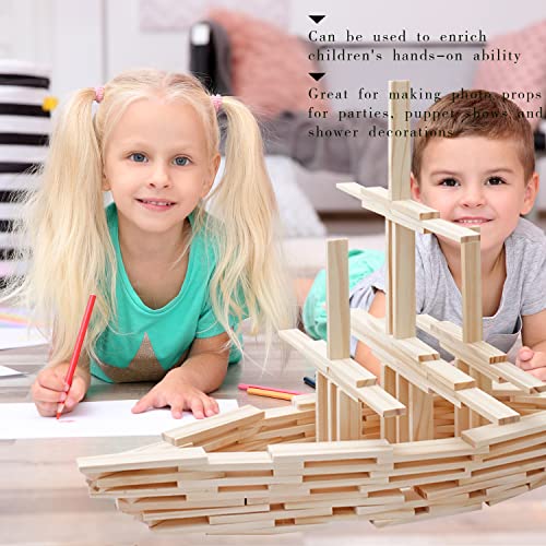 Wood Craft Sticks (100 Count)