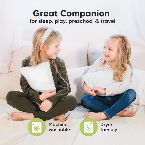 Mini Toddler Pillow with Pillowcase
