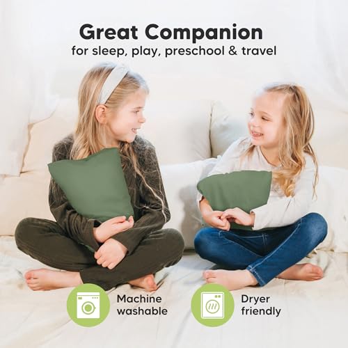 Mini Toddler Pillow with Pillowcase