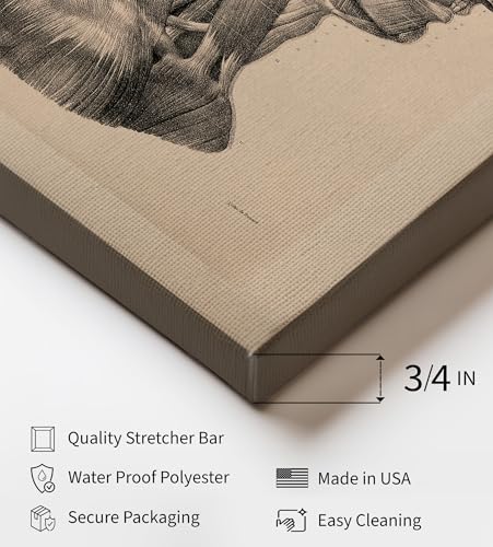Vintage Science Canvas