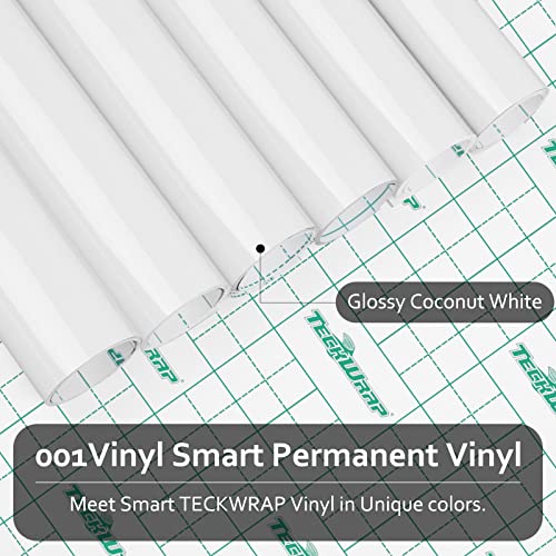 001 Smart Adhesive Vinyl Permanent