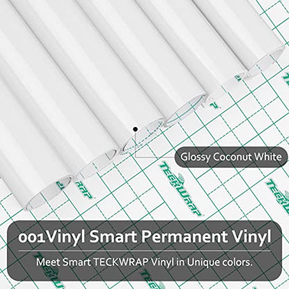 001 Smart Adhesive Vinyl Permanent