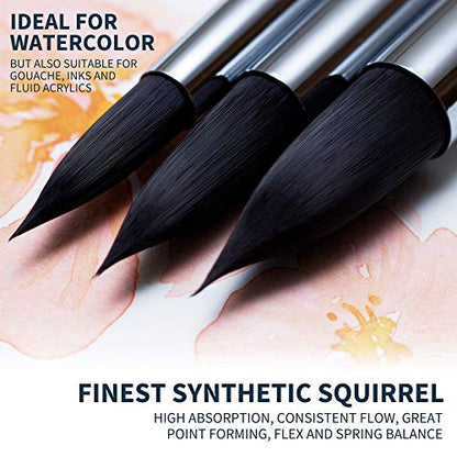 Watercolor Brush Set