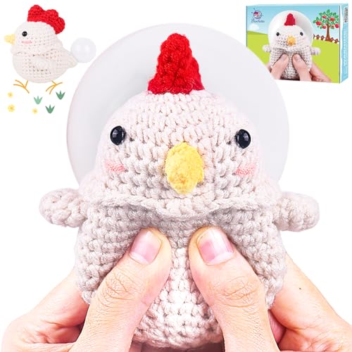 Crochet Kit for Beginners