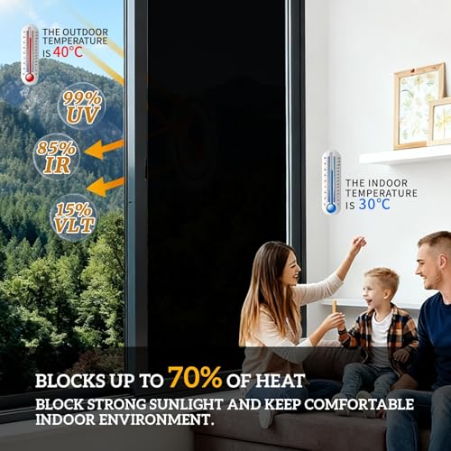 Professional Blackout Window Tint for Home