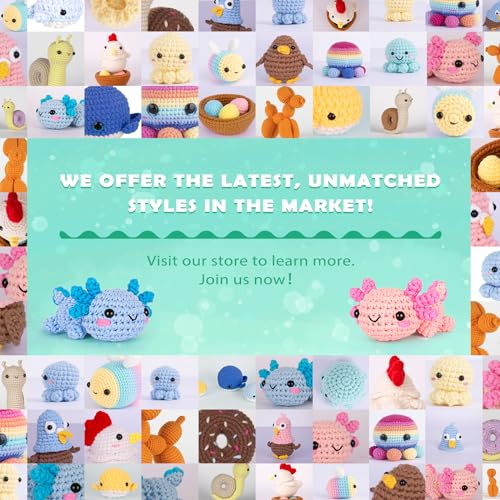 Crochet Kit for Beginners (2 Count)