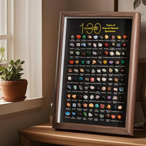 Natural Mineral Specimen Shadow Box