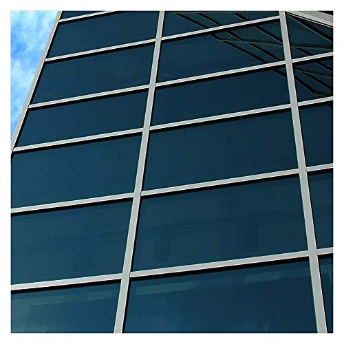 BDF EXNA20 Exterior Window Film Daytime Privacy and Heat Control Natural Black 20 (48 Sq Ft)