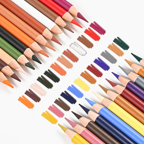 Colored Charcoal Pencil Set (24 Count)
