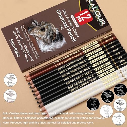 Pro Colored Charcoal Drawing Set (12 Count)