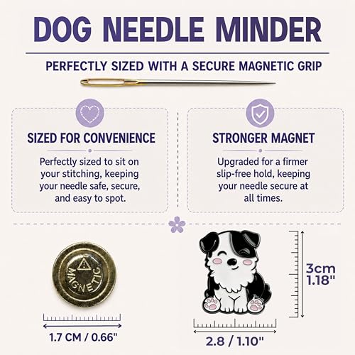 Magnetic Needle Minder