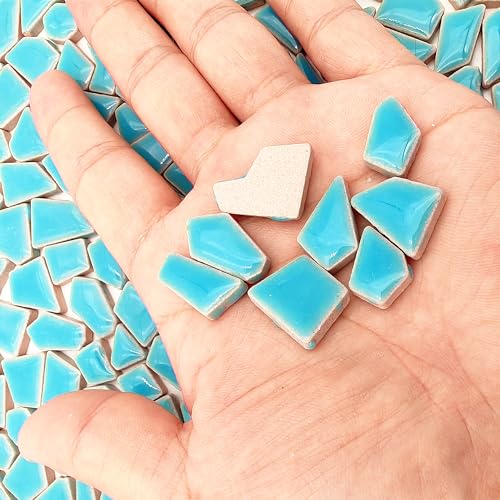 1.1LB Irregular Ceramics Mosaic Tiles (350 Count)