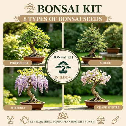8 Pack Bonsai Tree Kit with Complete Tools (40 Count)