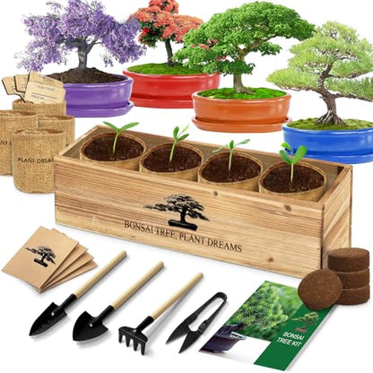 Bonsai Tree Kit