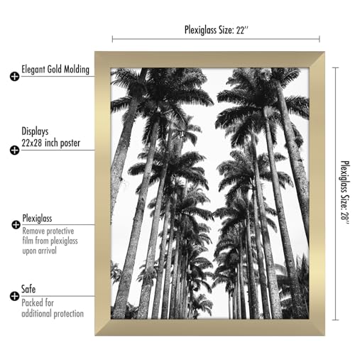 22x28 Poster Frame