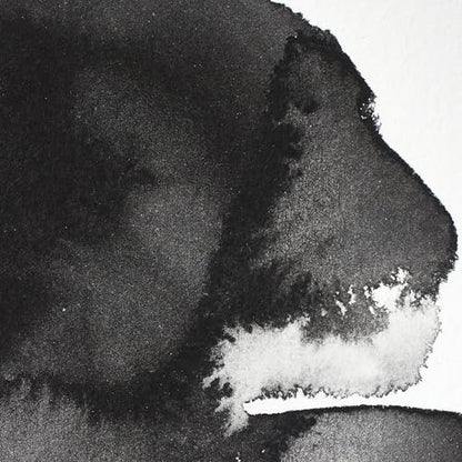 Professional Watercolor