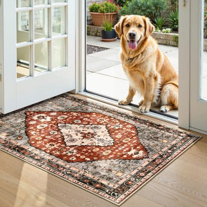Felice Boho Tribal Area Rug