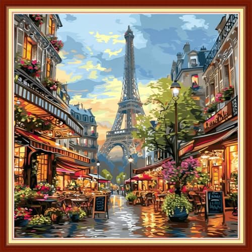 Beginners Cross Stitch Kits Stamped Full Range of Embroidery Kits for Adults DIY Cross Stitches kit Embroidery Patterns for Needlepoint kit
