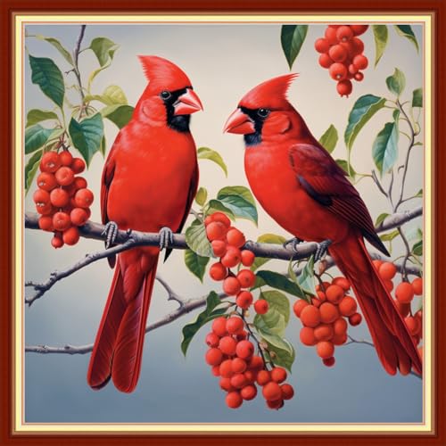 Stamped Cross Stitch Kits Full Range of Embroidery Starter Kits