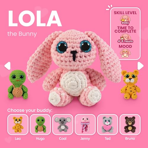 Crochet Kit for Beginners