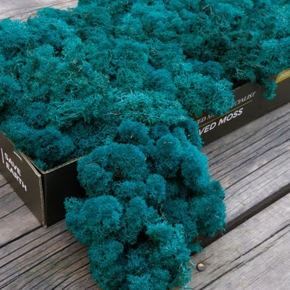 Preserved Reindeer Craft Moss Natural Green DIY Kit Gardenning Art Wall Decor Florist Easter Table Decor Wedding Decor
